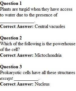 Week 4 Review Quiz